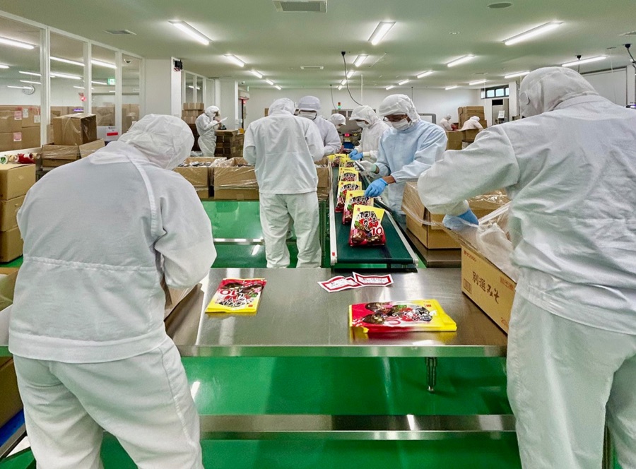 採用情報