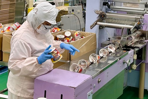 主なサービス内容